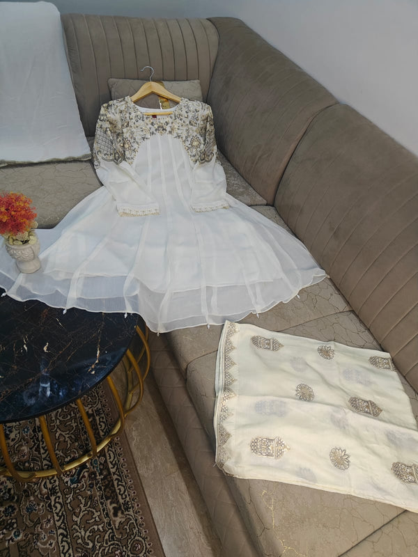 Chiffon embroidered frock